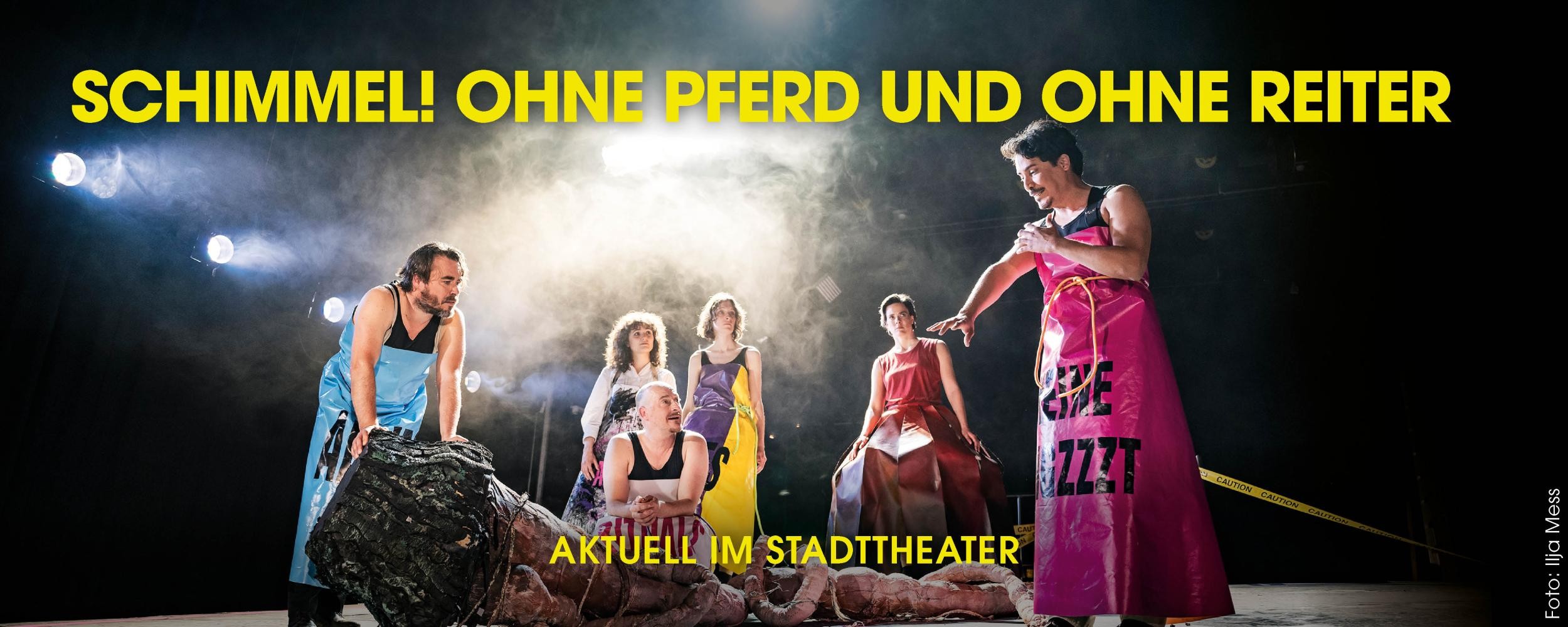 Theater Konstanz – Schimmel! Ohne Pferd und ohne Reiter